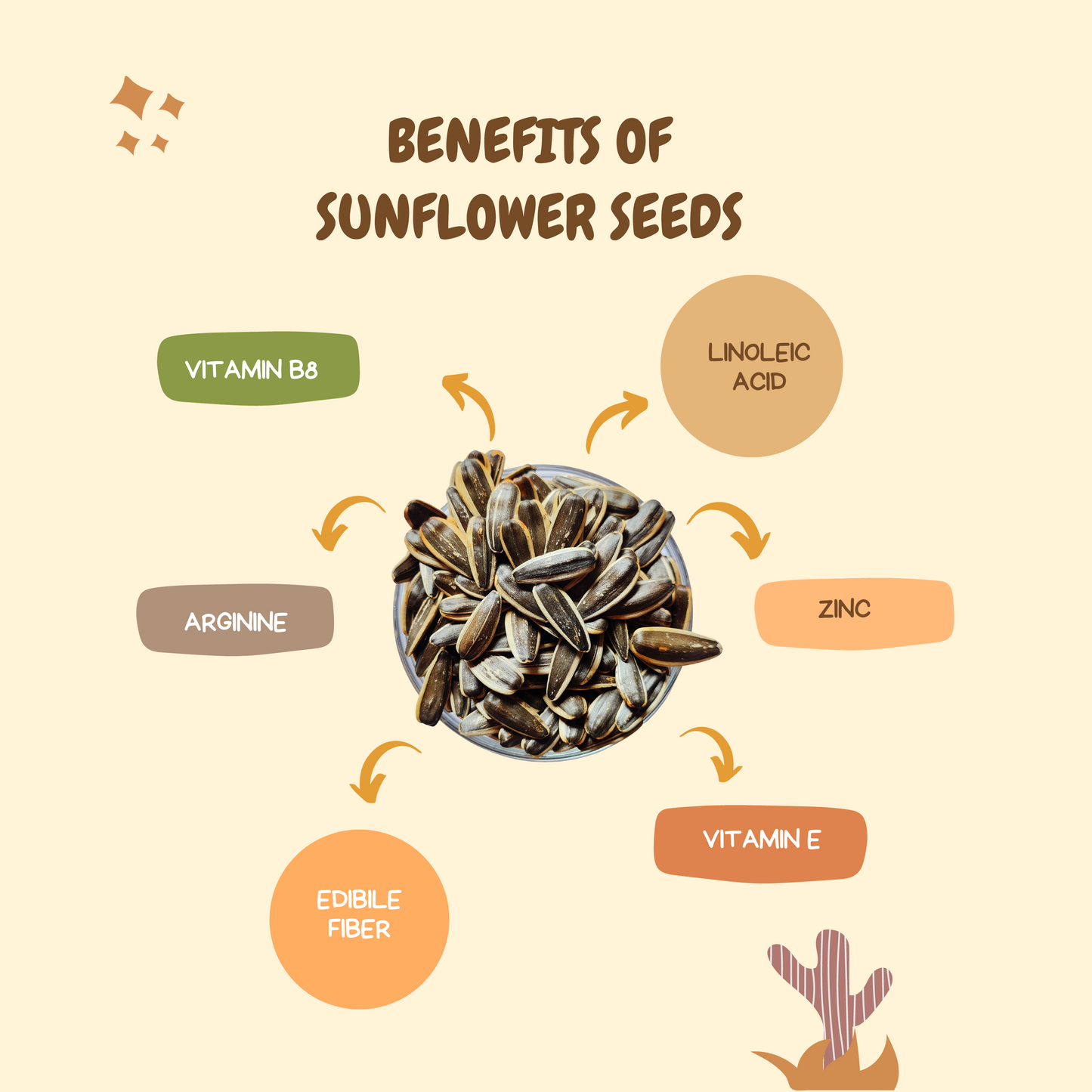 ChaCheer Roasted Sunflower Seeds - Spiced Flavour 130g